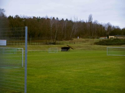 Sportplatz Tonschacht