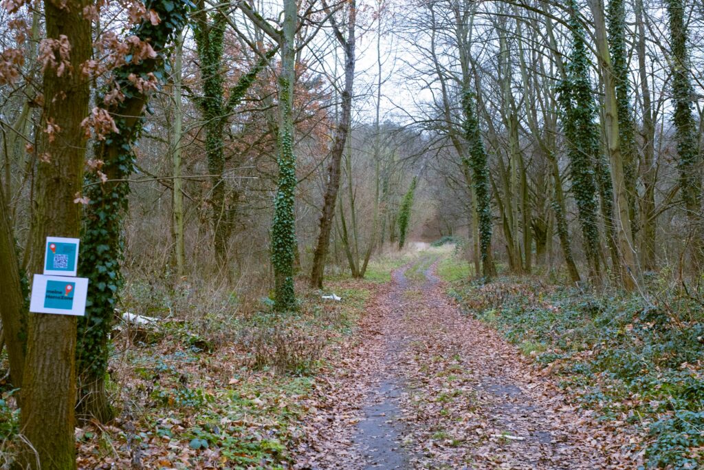 Wald-/Parkweg mit Homezone Hinweis